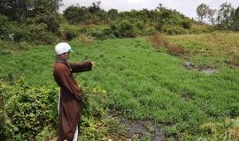 Phú Yên: Chất thải vệ sinh hầm cầu chảy xuống mương nước gây ô nhiễm môi trường
