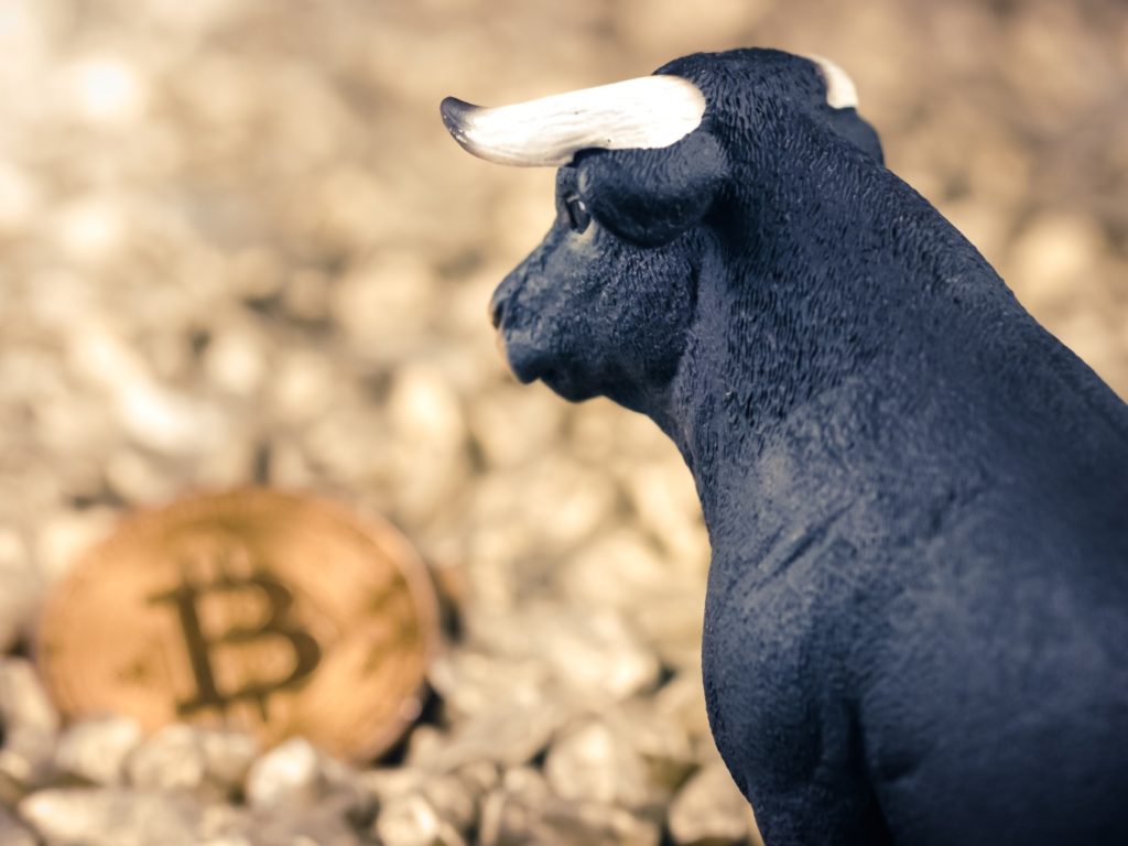 bitcoin-bull-ru-n-1024x768-1