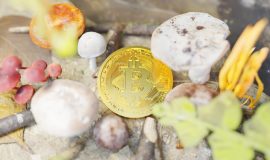 Cảm xúc thị trường “hồi sinh” sau 2 tháng “đẫm máu”, 100.000 Bitcoin được rút khỏi sàn chỉ 3 ngày