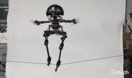 Robot biết bay, đi thăng bằng trên dây